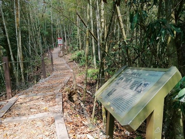 【南投魚池】虐腳的陡上階梯。 小百岳集起來。 No52小百岳