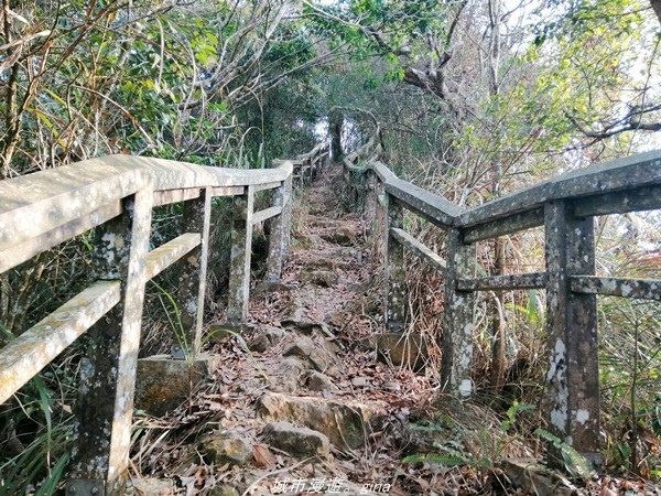 【南投國姓】步道有些荒涼感。小百岳集起來。 No47小百岳~