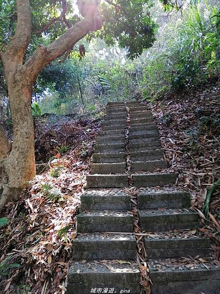 【台中潭子】清悠山林。 No40小百岳~聚興山