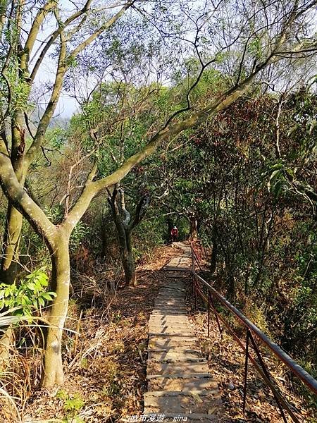 【台中潭子】清悠山林。 No40小百岳~聚興山