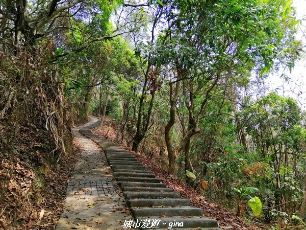 【南投草屯】蜿蜒步道很親民。 中興新村虎山步道