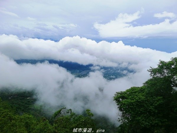 【南投水里】小百岳集起來。No50小百岳-集集大山