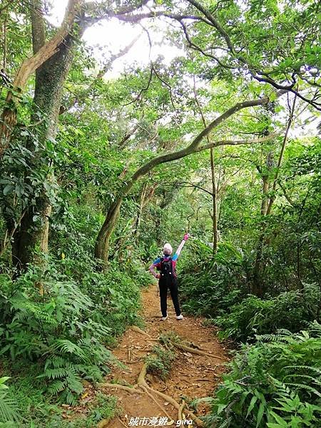 【桃園龍潭】平易近人。 No24桃園石門山x三坑老街