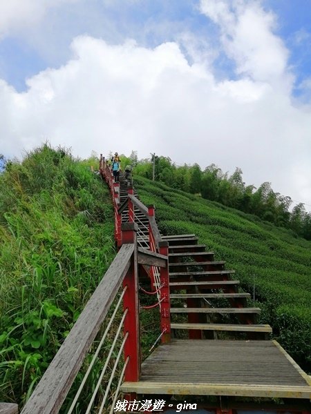 【雲嘉四連峰】超美的茶園竹林風光。小百岳集起來。No56小百