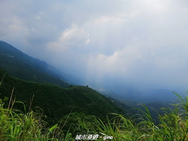 【雲嘉四連峰】超美的茶園竹林風光。小百岳集起來。No56小百