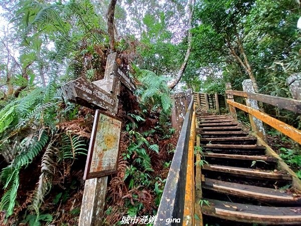 【苗栗大湖】喜見雲海。 No37小百岳馬那邦山