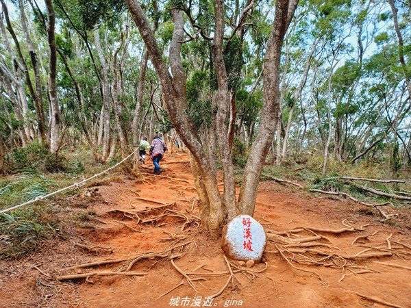 【苗栗三義】台灣百大必訪步道。 No35小百岳-火炎山~