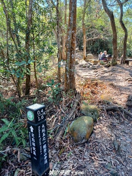 【台中新社】景觀多樣好健身。大坑 5-1步道上，五號步道下