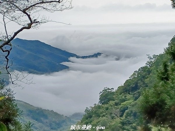 【南投鹿谷】陡上陡下換美景相送。 小百岳集起來。 No53小