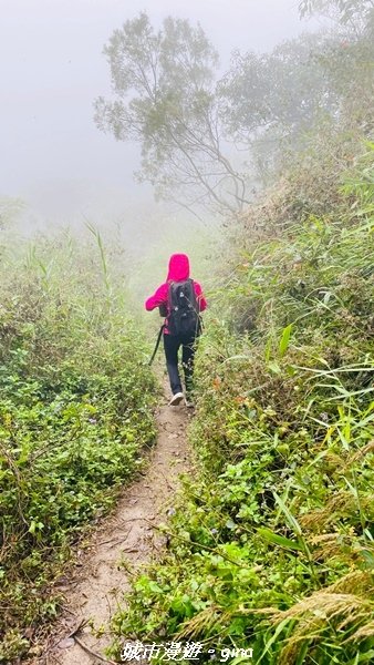 【台南南化】迷霧山徑。 小百岳集起來。 No.70小百岳~刣