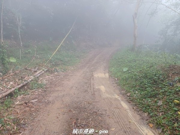 【台南南化】迷霧山徑。 小百岳集起來。 No.70小百岳~刣