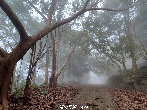 【台南南化】迷霧山徑。 小百岳集起來。 No.70小百岳~刣