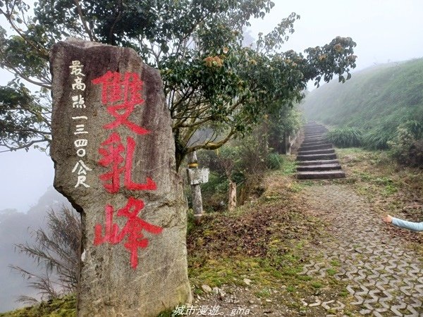 【台東太麻里】沒有金針花只有狹窄的山路。 小百岳集起來。 N