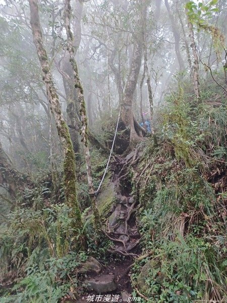 【台東東河】走一趟卑南族阿美族的聖山。 小百岳集起來。 No