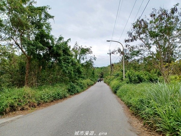 【台東成功】秘境沙灘。  都歷海灘x丸春號生魚片x王記鬼頭刀