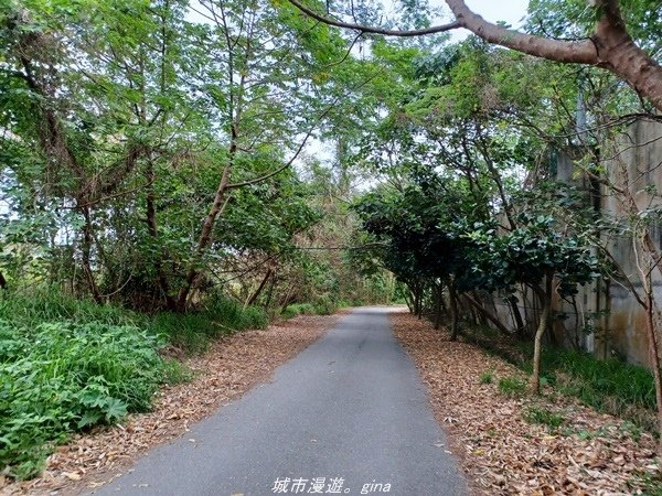 【台東成功】秘境沙灘。  都歷海灘x丸春號生魚片x王記鬼頭刀