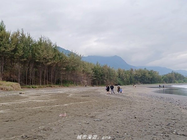 【台東成功】秘境沙灘。  都歷海灘x丸春號生魚片x王記鬼頭刀