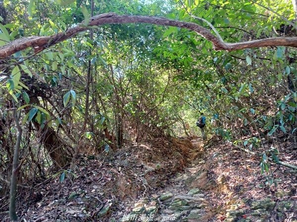 【屏東來義】屏東三大熱門登山路線之一。 小百岳集起來。 No