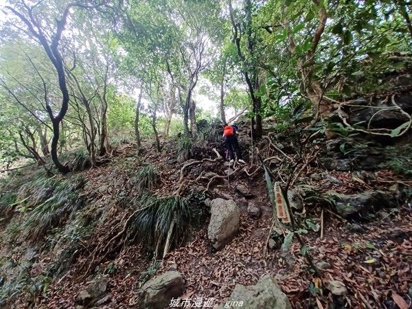 【高雄甲仙】沒有朵朵白雲。 小百岳集起來。 No69小百岳-