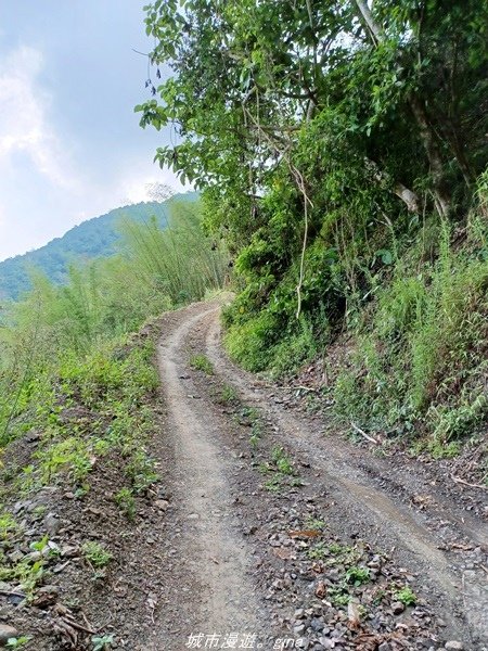 【高雄甲仙】沒有朵朵白雲。 小百岳集起來。 No69小百岳-