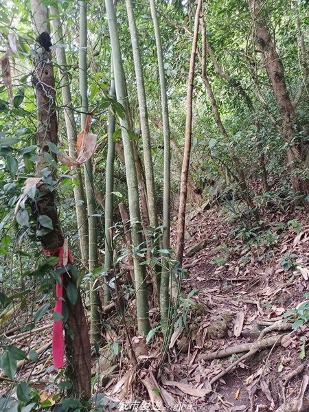 【高雄甲仙】沒有朵朵白雲。 小百岳集起來。 No69小百岳-