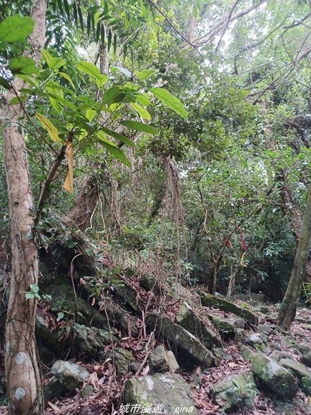 【高雄甲仙】沒有朵朵白雲。 小百岳集起來。 No69小百岳-