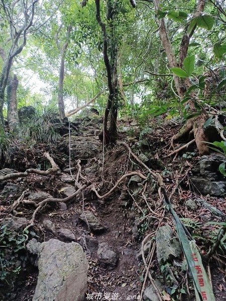 【高雄甲仙】沒有朵朵白雲。 小百岳集起來。 No69小百岳-