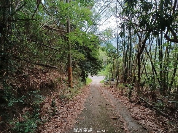 【高雄甲仙】沒有朵朵白雲。 小百岳集起來。 No69小百岳-