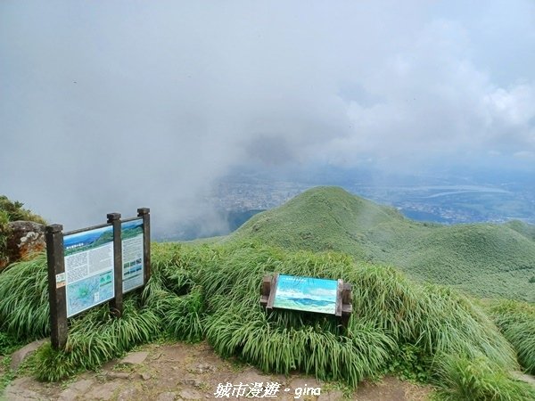 【台北北投】搭捷運公車爬山趣。 No2小百岳_七星山步道