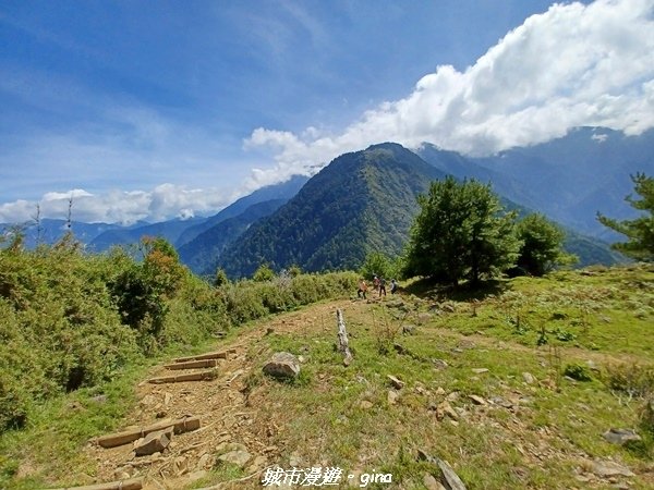 【南投信義】媲美百岳美景。 麟趾山鹿林山O型