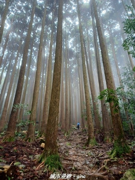 【苗栗南庄】裊裊雲霧台版富士山。 No34小百岳~加里山。 