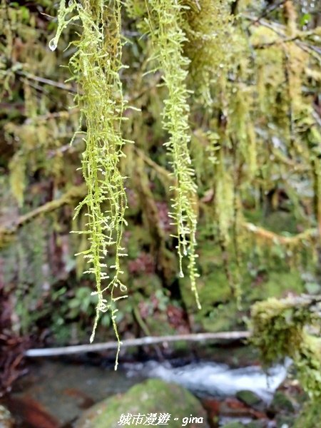 20230101_110159.jpg