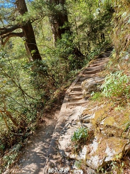 【高雄桃源】朝聖壯闊山景之南橫三星。 No85百岳~庫哈諾辛