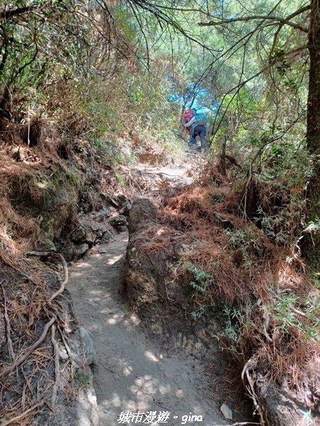 【高雄桃源】朝聖壯闊山景之南橫三星。 No85百岳~庫哈諾辛