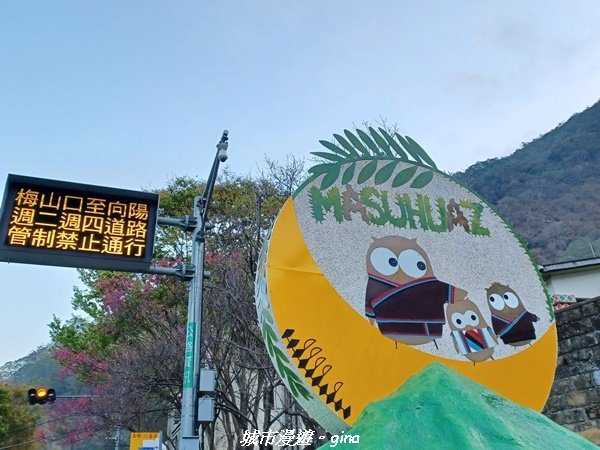 【高雄桃源】朝聖壯闊山景之南橫三星。 No77百岳~關山嶺山