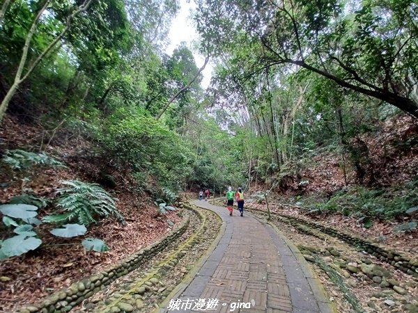 【彰化芬園】台灣百大必訪步道。 挑水古道進碧山古道O型環走