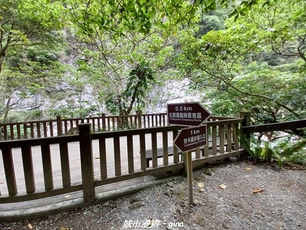 【花蓮秀林】美景天成。 砂卡礑步道