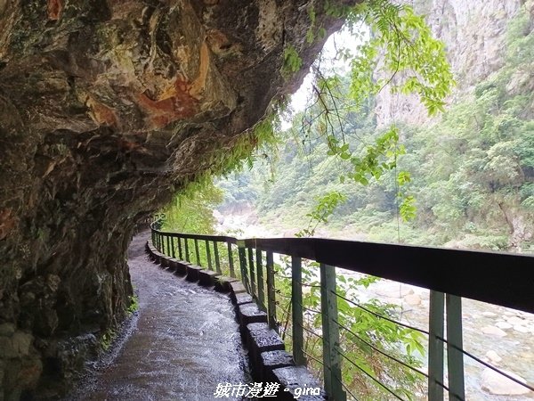 【花蓮秀林】美景天成。 砂卡礑步道