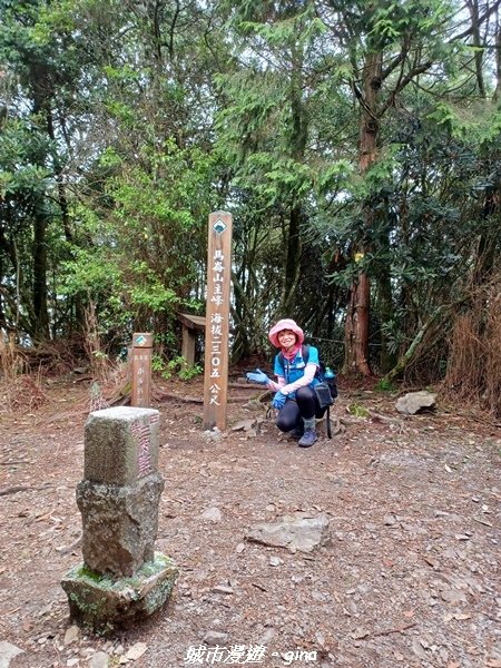 【台中和平】谷關七雄~馬崙山步道