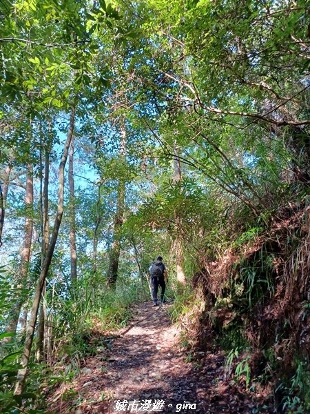 【台中和平】谷關七雄~馬崙山步道