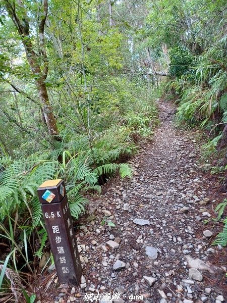 【台中和平】谷關七雄~馬崙山步道