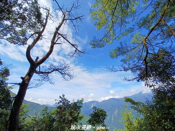 【台中和平】谷關七雄~馬崙山步道