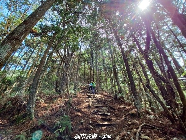 【台中和平】谷關七雄~馬崙山步道