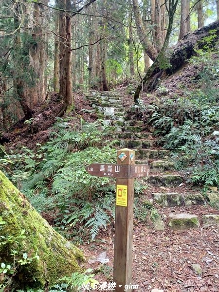 【台中和平】谷關七雄~馬崙山步道