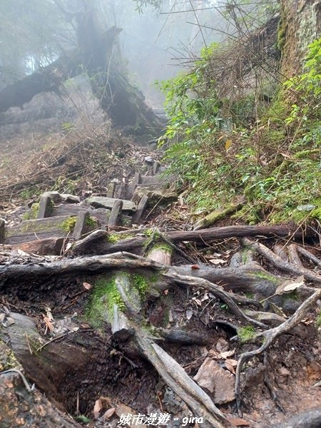 【台中和平】谷關七雄~馬崙山步道