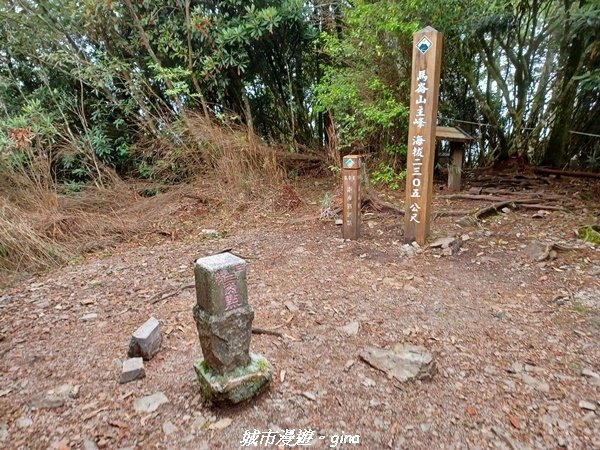 【台中和平】谷關七雄~馬崙山步道