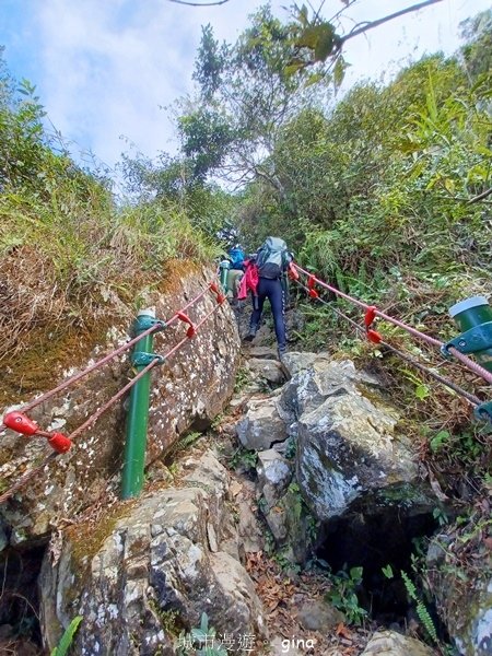 【雲林華山】 翠綠茶園太迷人走到廢腿也甘心_雲嘉五連峰