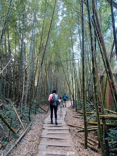 【雲林華山】 翠綠茶園太迷人走到廢腿也甘心_雲嘉五連峰