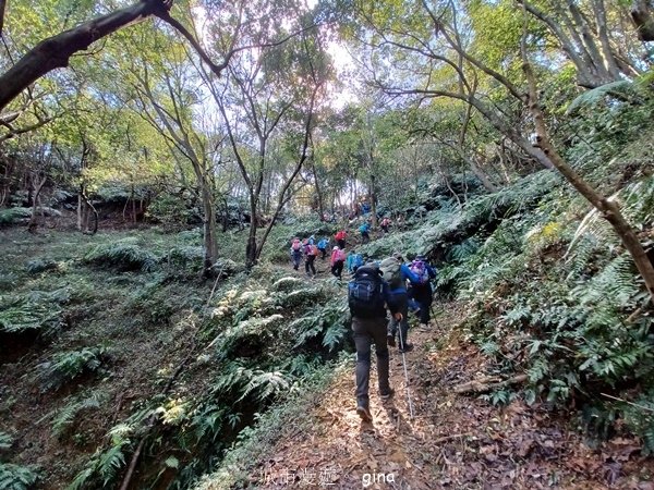 【基隆七堵】跟著我去旅行~瑪陵尖五連峰O型縱走