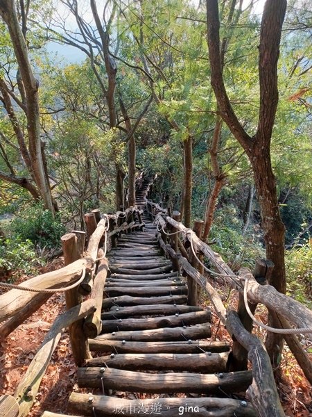 【台中北屯】大坑四號步道頭嵙山